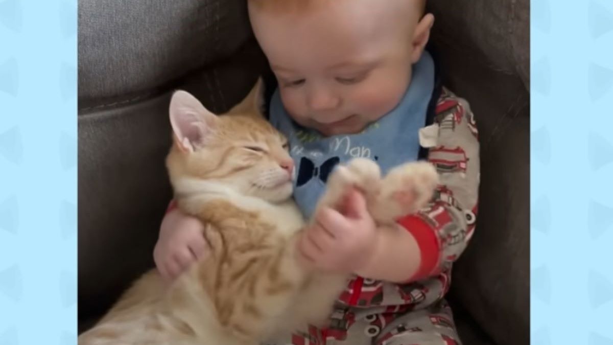 Lovable kitten copies everything his owner's baby boy does